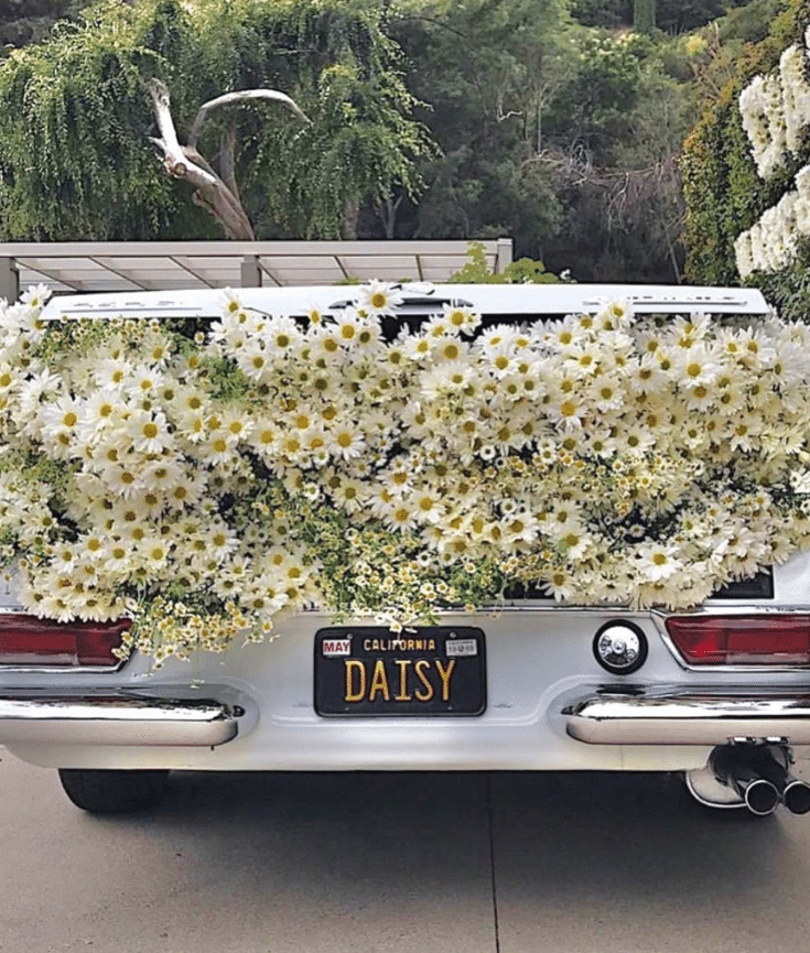 car with flowers in trunk