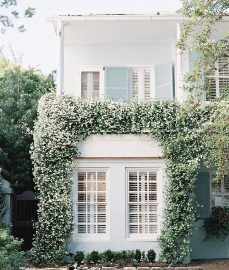 charleston home with flowers