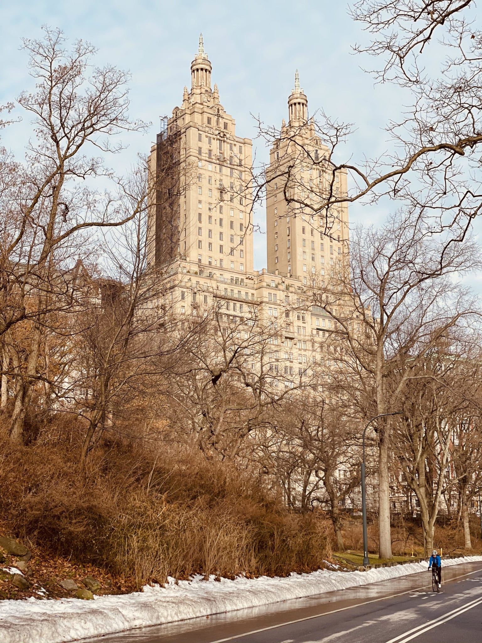 central park in winter