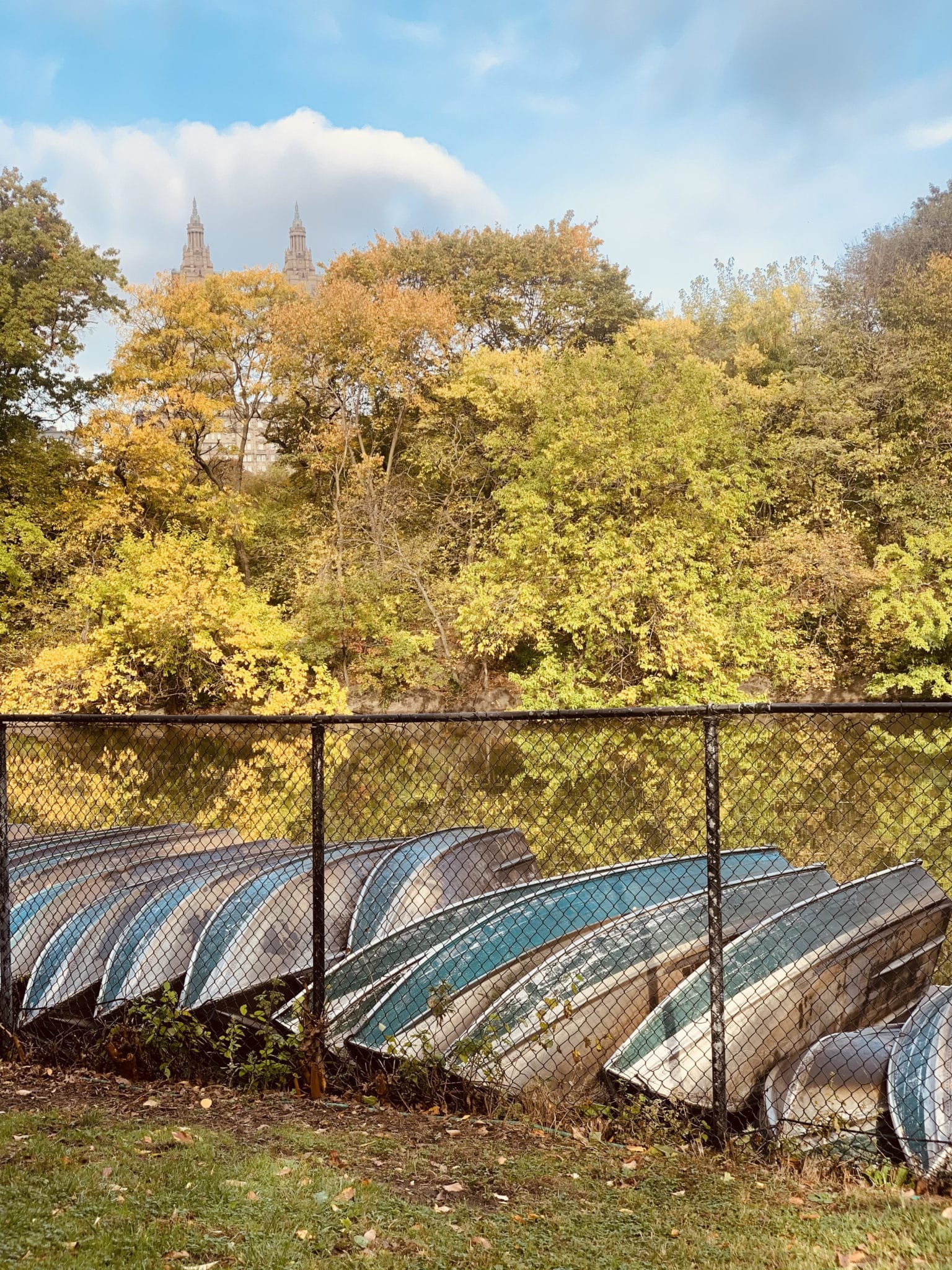 central park in fall, row boats